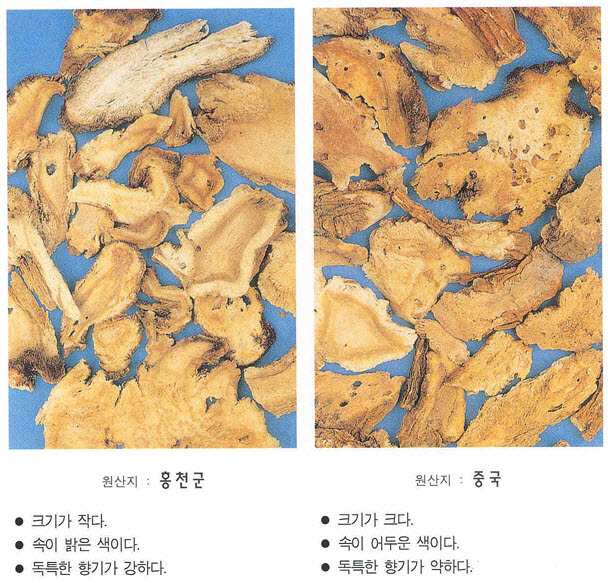 백지(구릿대).jpg