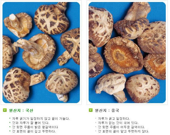 표고버섯(백화고).jpg