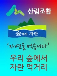 숲에서자란190.jpg