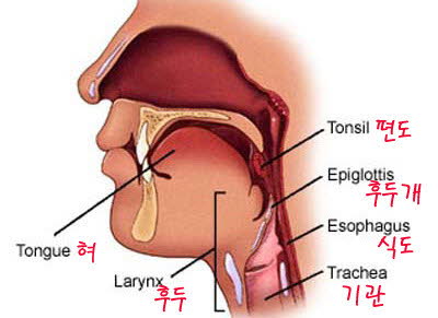 huduyun0.jpg