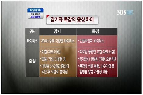 감기와_다른_이번_유행하는_독감_증상_3.jpg