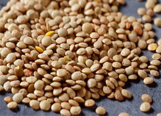 green_lentil_16x9.jpg