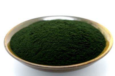 Chlorella.jpg