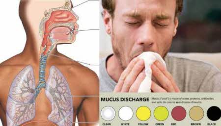 What-The-Color-Of-Your-Mucus-Says-About-Your-Health.jpg