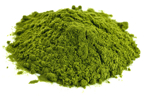 l_chlorella-powder.jpg