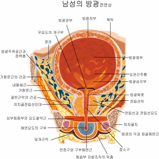 크기변환_1021b1228.jpg