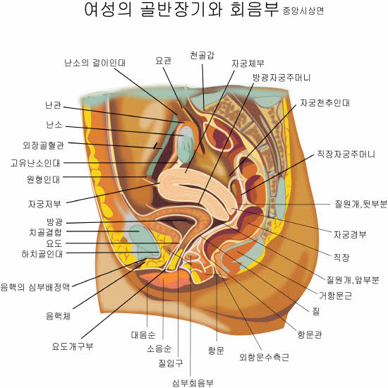 크기변환_1021b1234.jpg