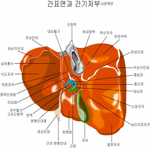 크기변환_1021b1205.jpg