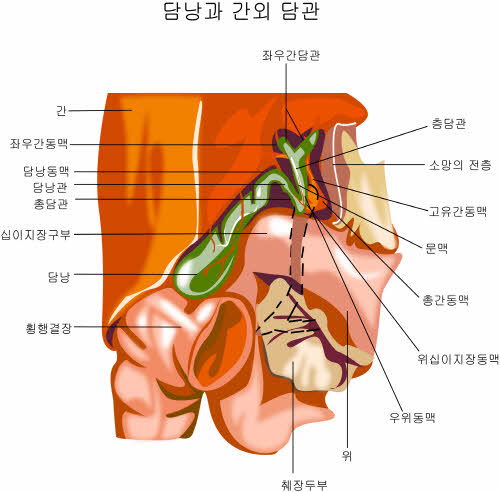 크기변환_1021b1210.jpg