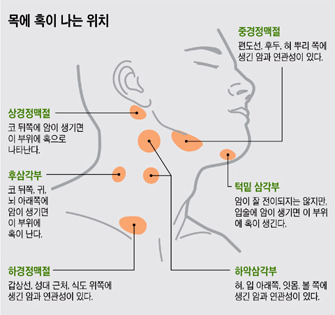 다운로드 (2).jpg