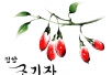 <span style='background-color:YELLOW; color:RED;'>구기자</span>의효능과 특징 <span style='background-color:YELLOW; color:RED;'>구기자</span>영양성분과 구기…