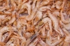 부안 ﻿﻿말린새우﻿(﻿﻿﻿乾大蝦﻿﻿),﻿ 쌀새우﻿[﻿﻿﻿白蝦﻿﻿], ﻿…